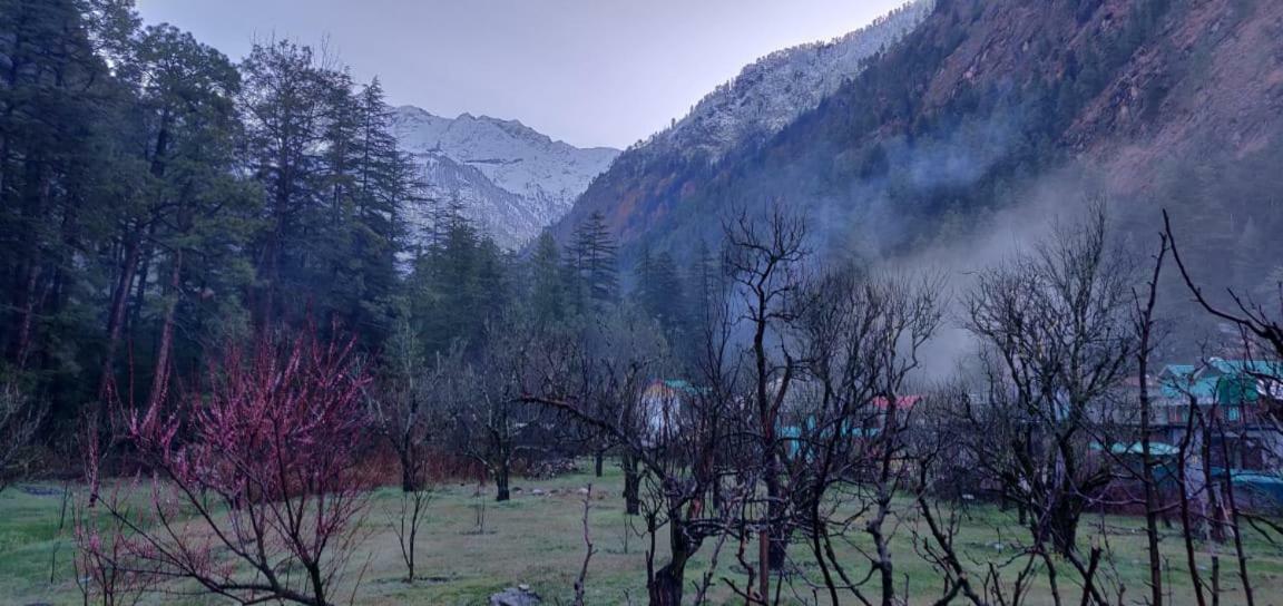 The Royal Orchard Kasol Hotel Exterior foto