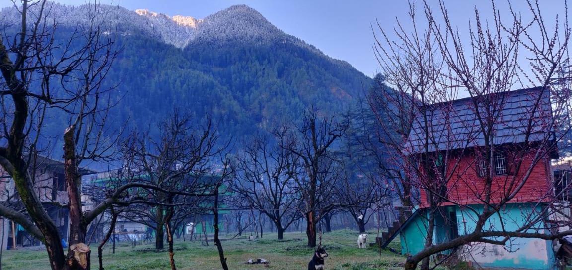 The Royal Orchard Kasol Hotel Exterior foto
